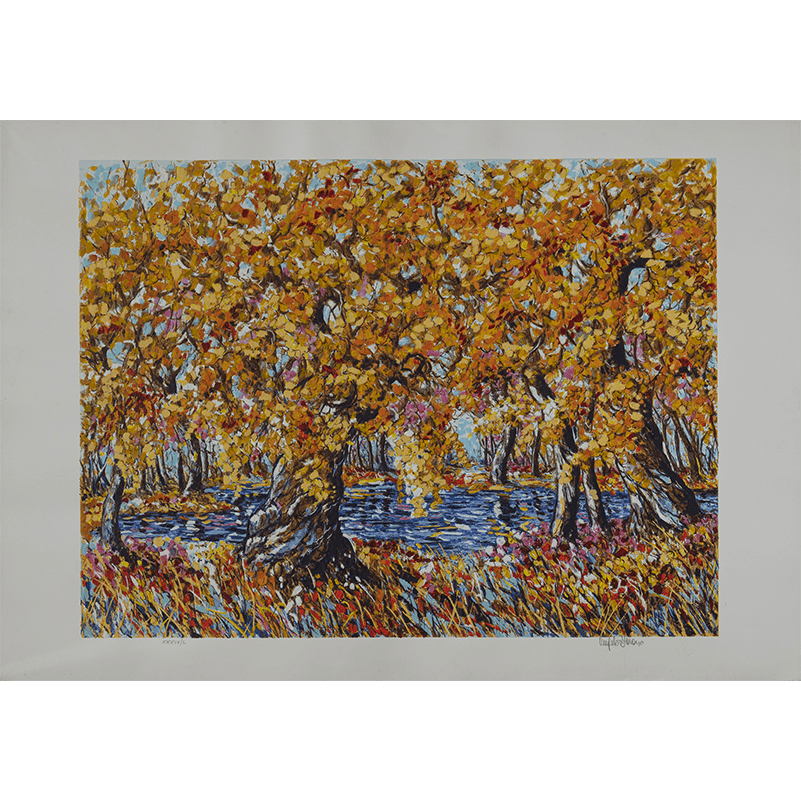 Angelo Favaro – Lago In Fiore – 100×70